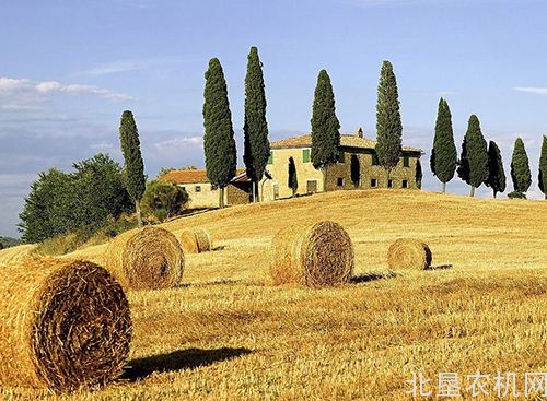 浙江召开油菜机械化收获和秸秆处理现场会