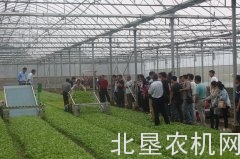 上海农机鉴定推广站举办苗叶菜全程机械化现场会