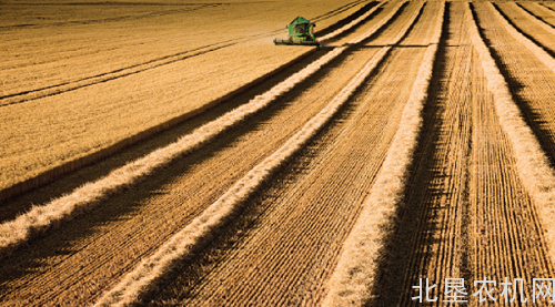 农业部专家指导组发布《倒伏小麦收获收割机调整方法及操作注意事项》