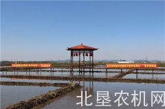 吉林举办水稻机械化插秧网络现场会