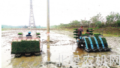 国际首创不等距智能插秧机下田试验