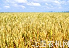 农作物秸秆综合利用试点成效显著 节本增收率达5%以上