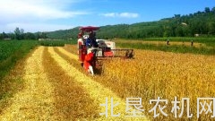 安阳：小麦全程机械化基本实现 耕种收水平98%以上