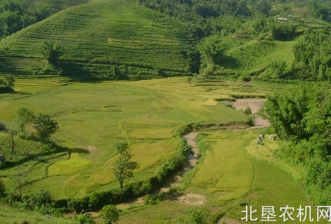股份制运作经营性建设用地 农民还有保值增值的空间
