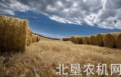 中央财政百亿支持清洁取暖试点，生物质能迎商机
