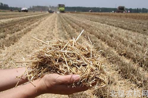 黑龙江玉米秸秆机械化还田每亩补40元