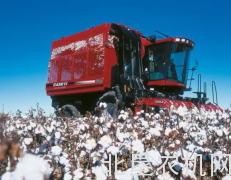 大一点，再大一点的采棉机