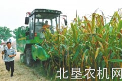 农民种玉米 如何打消后顾之忧