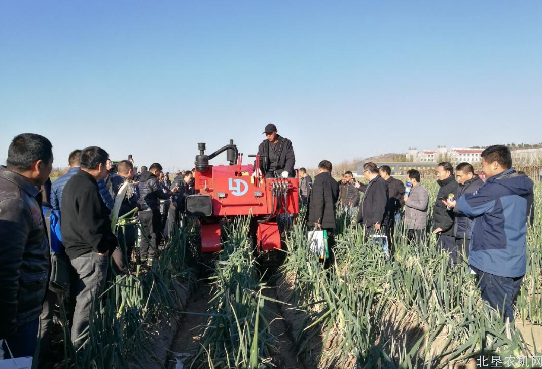 葱姜蒜、辣椒生产全程机械化发展论坛在山东举办