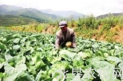 2018农业补贴主要向这五大倾斜