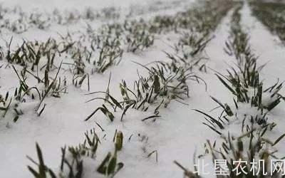 农业部紧急部署低温雨雪天气防范工作