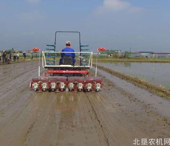 水稻精量穴直播技术与机具”破解重大难题获奖