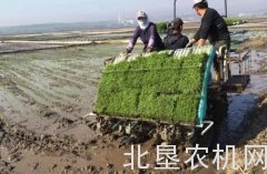 今年春耕生产将调减水稻1000万亩 休耕轮作试点扩大到2400万亩