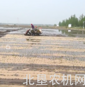通河县召开水稻机械覆膜插秧示范作业演示会