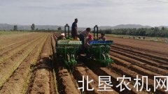 山西省大葱生产机械化发展取得零突破