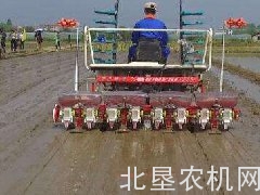 我省采取有效措施全力抗旱保苗