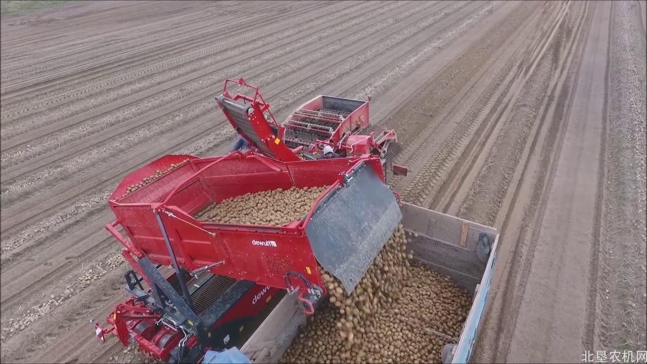 北京组织甘薯机械化移栽技术观摩会