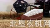 罗斯托夫RSM161收割机作业视频