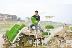 水稻全程机械化还要迈过几道坎