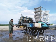 鸭绿河农场千台插秧机完成入库