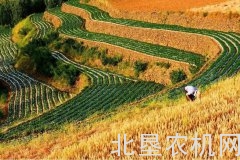 南京农业大学破解秸秆处理产业化难题