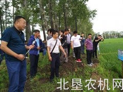 全省水稻机插秧同步侧深施肥技术示范苗期观摩研讨活动在方正举办
