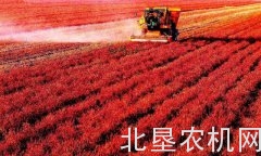 种植面积第一，这类蔬菜收获机械却非常短缺