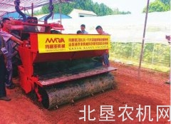 机艺结合破解大蒜机械化发展瓶颈——高效播种技术取得重大突破节省劳动力50%以上