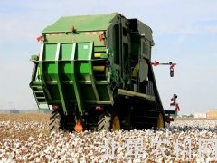 采棉机越来越受欢迎,新疆再引进6台进口采棉机