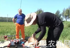 桦川县无人机助力农民致富增收