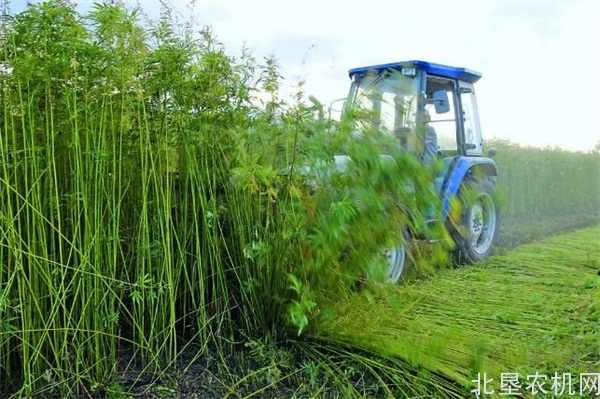 农机补贴农民能拿多少钱？是先买农机后补贴吗？