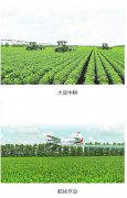 机械化为大豆产业铺就光明前程