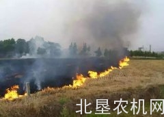 又一省严厉发声！秸秆禁烧时段发现火点最高罚50万