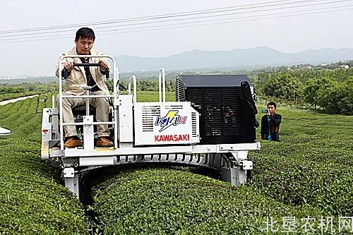 四川巴中：问诊茶叶生产全程机械化