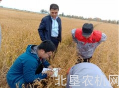 牡丹江市水稻机插侧深施肥技术试验成效显著