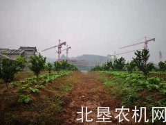 报名开始，南方丘陵山区果茶桑麻机械化大会
