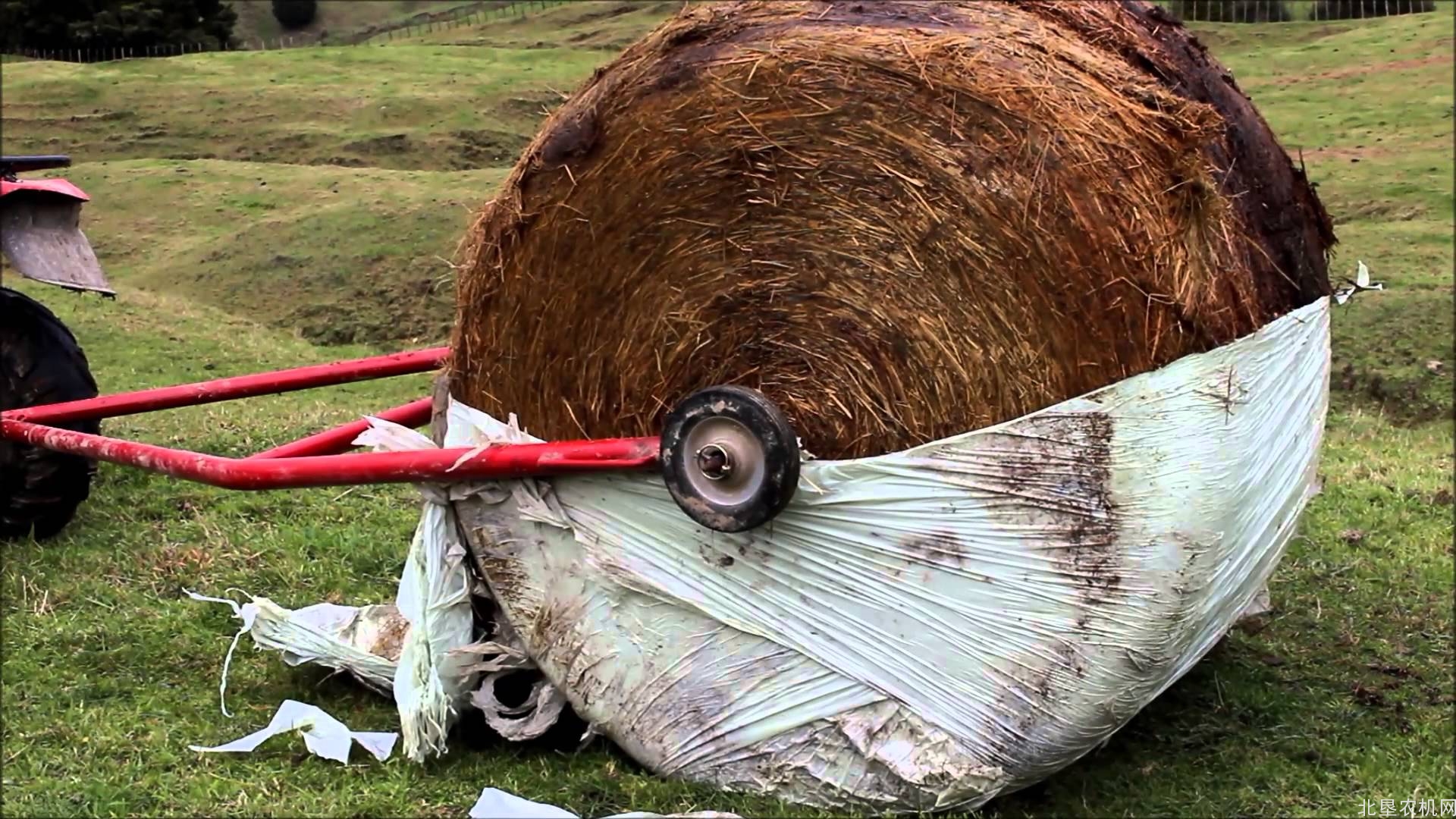 河南省9个畜牧大县可申报整县推进项目建设