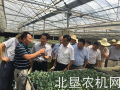 拿“秧苗”做文章的农机专业合作社