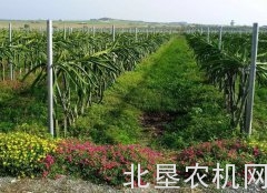 凯斯大马力拖拉机首次登陆海南岛，揭开高效作业新篇章