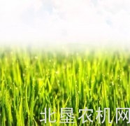 中国一拖：【盘点】2018，我们做过的事