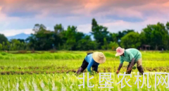 2018年农业政策五大变动，四涨一降！