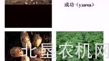北垦农机学苑——马铃薯高产栽培技术