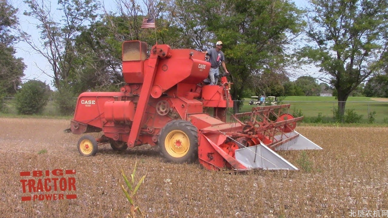 农业农村部：今年大豆将扩产1000万亩