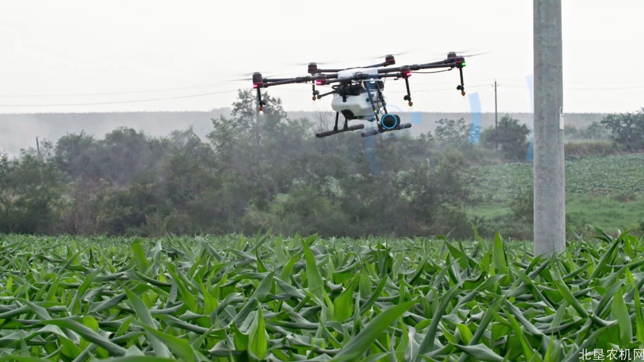 无人机驾驶员入选人社部新职业名单 真是金饭碗？