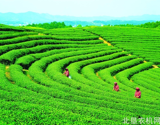 推进农业机械化发展 留住“绿水青山”