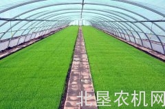 黑龙江出台水稻智能浸种催芽补贴政策！