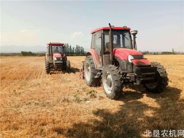 灵宝市晚玉米免耕播种掀高潮