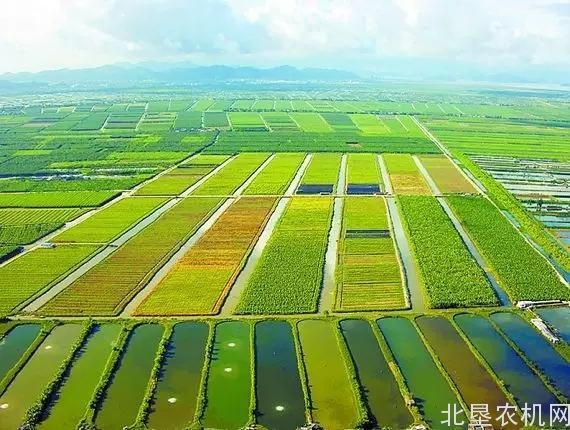 大庆将在全市范围建设100万亩城市生态农业带