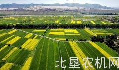 中国利用外资再出大动作 放宽农业、采矿业、制造业准入