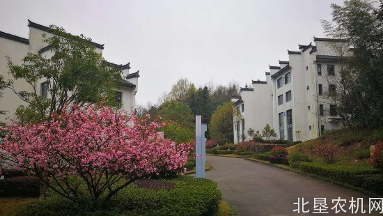 2019年农业补贴共六类37项！最后一项关系每个人